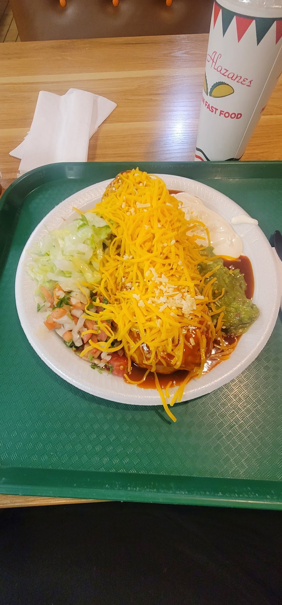 Carne Asada Fries